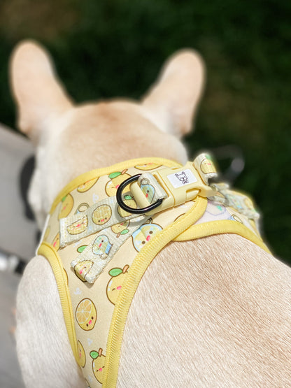 Step-In Vest Dog Harness - Lemonade