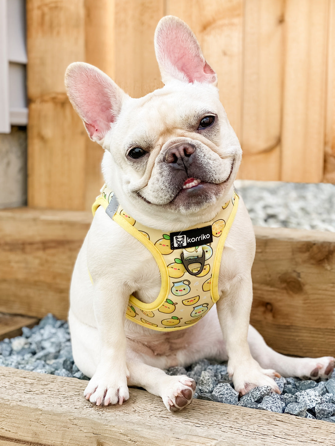 Step-In Vest Dog Harness - Lemonade