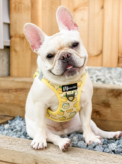 Step-In Vest Dog Harness - Lemonade