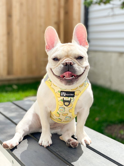 Step-In Vest Dog Harness - Lemonade