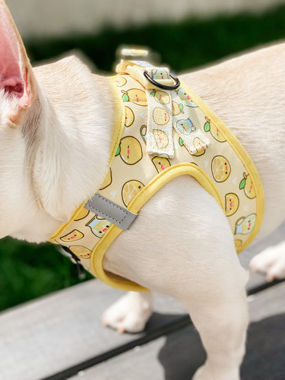 Step-In Vest Dog Harness - Lemonade