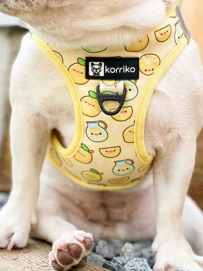 Step-In Vest Dog Harness - Lemonade